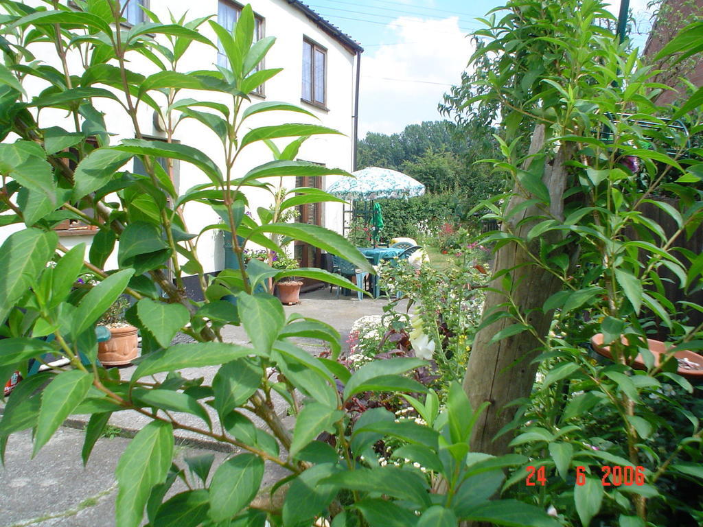 Bed and Breakfast The Elms East Harling Экстерьер фото