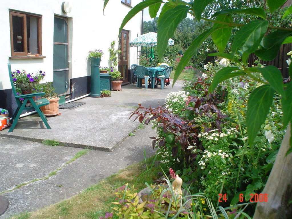 Bed and Breakfast The Elms East Harling Экстерьер фото